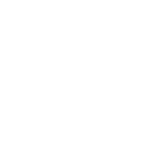 lem